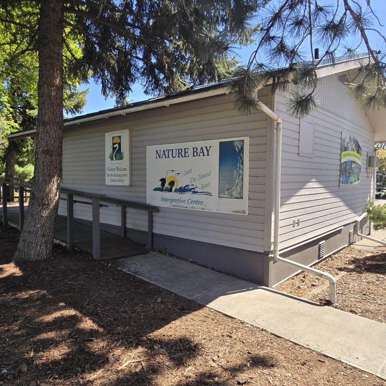 SABNES Bird / Brighouse Nature Centre